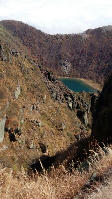 d0174598_1941976.jpg