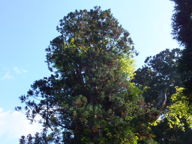 a0271502_1250256.jpg