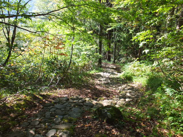 a0271502_1251883.jpg