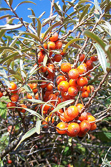 e0149604_03452487.jpg