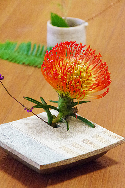 a0043405_023925.jpg
