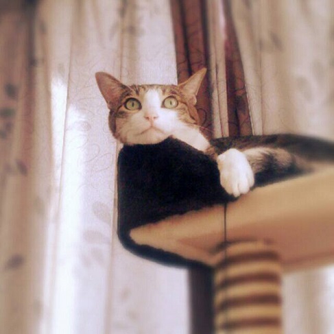 秋びより_a0122205_14335510.jpg