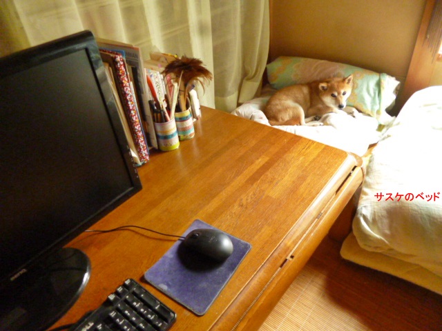e0131506_22334268.jpg