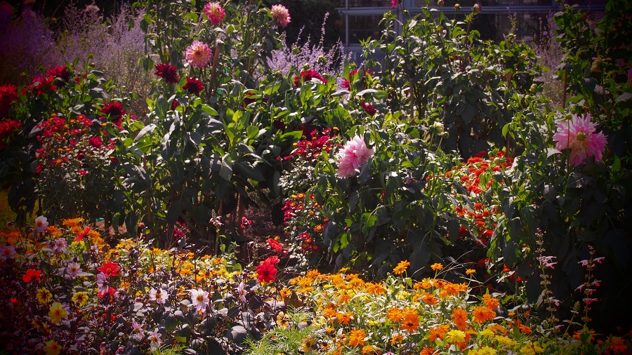 d0001008_20154966.jpg