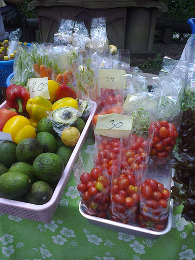 b0330009_12075400.jpg