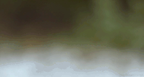8/31（日）公演　平野貴俊氏寄稿（その３）_c0050810_711492.gif