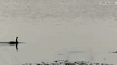 8/31（日）公演　平野貴俊氏寄稿（その３）_c0050810_7122961.gif
