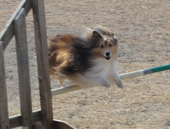 c0338411_23150624.png