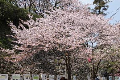 c0338411_23255096.jpg