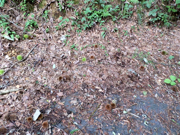 c0299015_043738.jpg