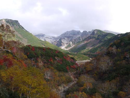 十勝岳温泉付近も紅葉が素敵です。_f0096216_09143653.jpg