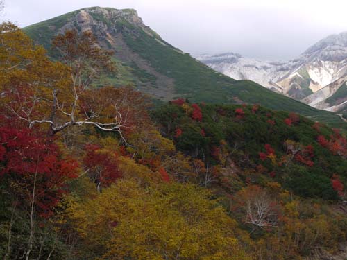 十勝岳温泉付近も紅葉が素敵です。_f0096216_09150372.jpg