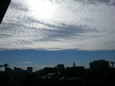 f0219716_1885030.jpg