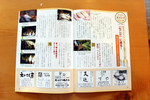 月刊 とうかい食べあるき_d0063218_12294064.jpg