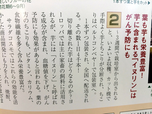 月刊 とうかい食べあるき_d0063218_12314073.jpg