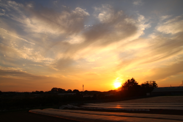 f0118426_1254334.jpg