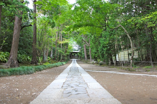 【寿福寺】鎌倉散歩 part 4_f0348831_08070207.jpg