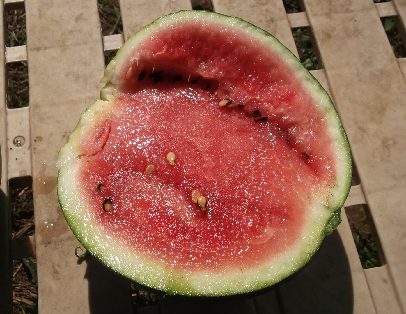 スイカをたべたら..夏が終わりました。_b0137932_1453264.jpg