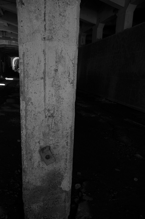 d0165741_15004.jpg