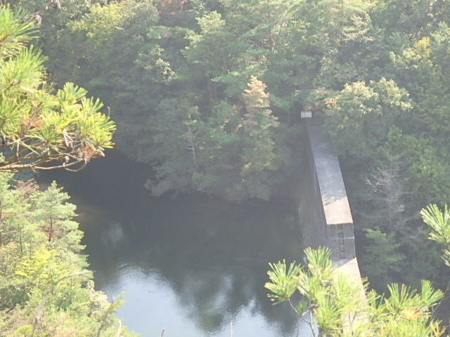 f0334143_2011594.jpg