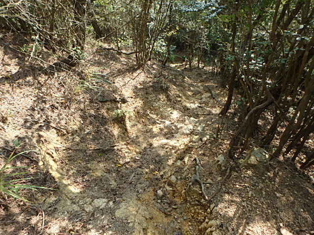 f0334143_202876.jpg