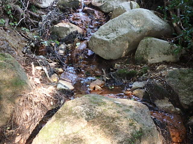 f0334143_2055751.jpg