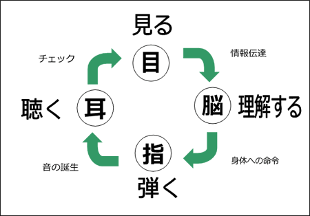 脳の活性化_a0234246_168029.gif