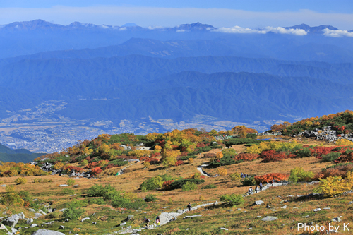 c0127748_3574737.jpg