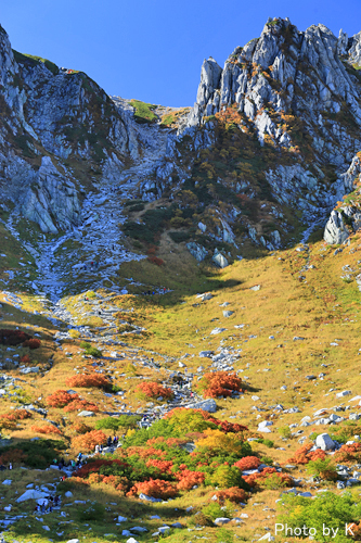 c0127748_74892.jpg