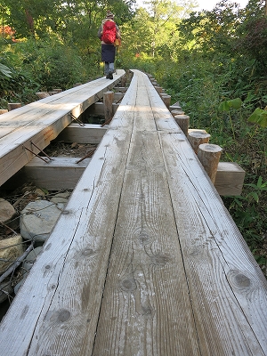 e0170558_00020155.jpg