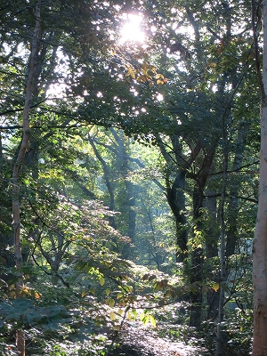 e0170558_00061594.jpg