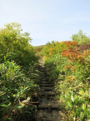 e0170558_00490139.jpg