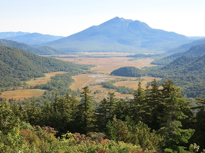 e0170558_00503912.jpg