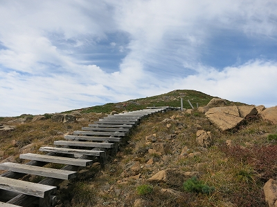 e0170558_01284510.jpg