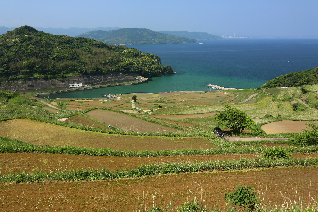 c0117762_722591.jpg
