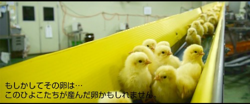 トップページの写真を更新しました!_e0266363_15241881.jpg