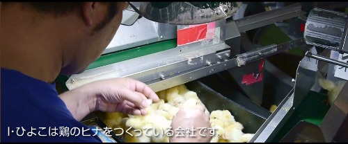 トップページの写真を更新しました!_e0266363_15245670.jpg