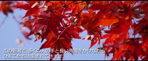 トップページの写真を更新しました!_e0266363_15254049.jpg