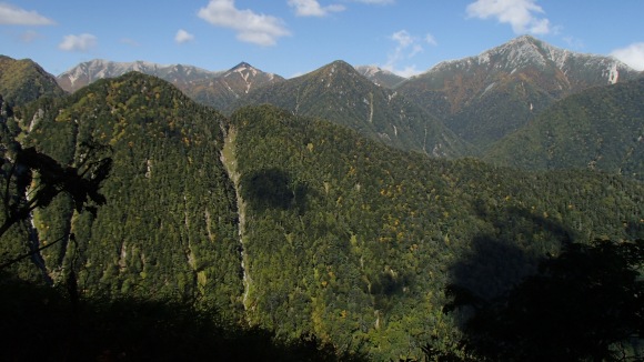 b0050067_1154.jpg