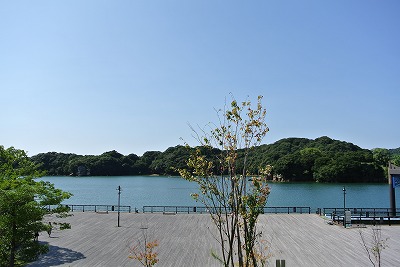 長与のhersさんへ _d0240469_23313968.jpg