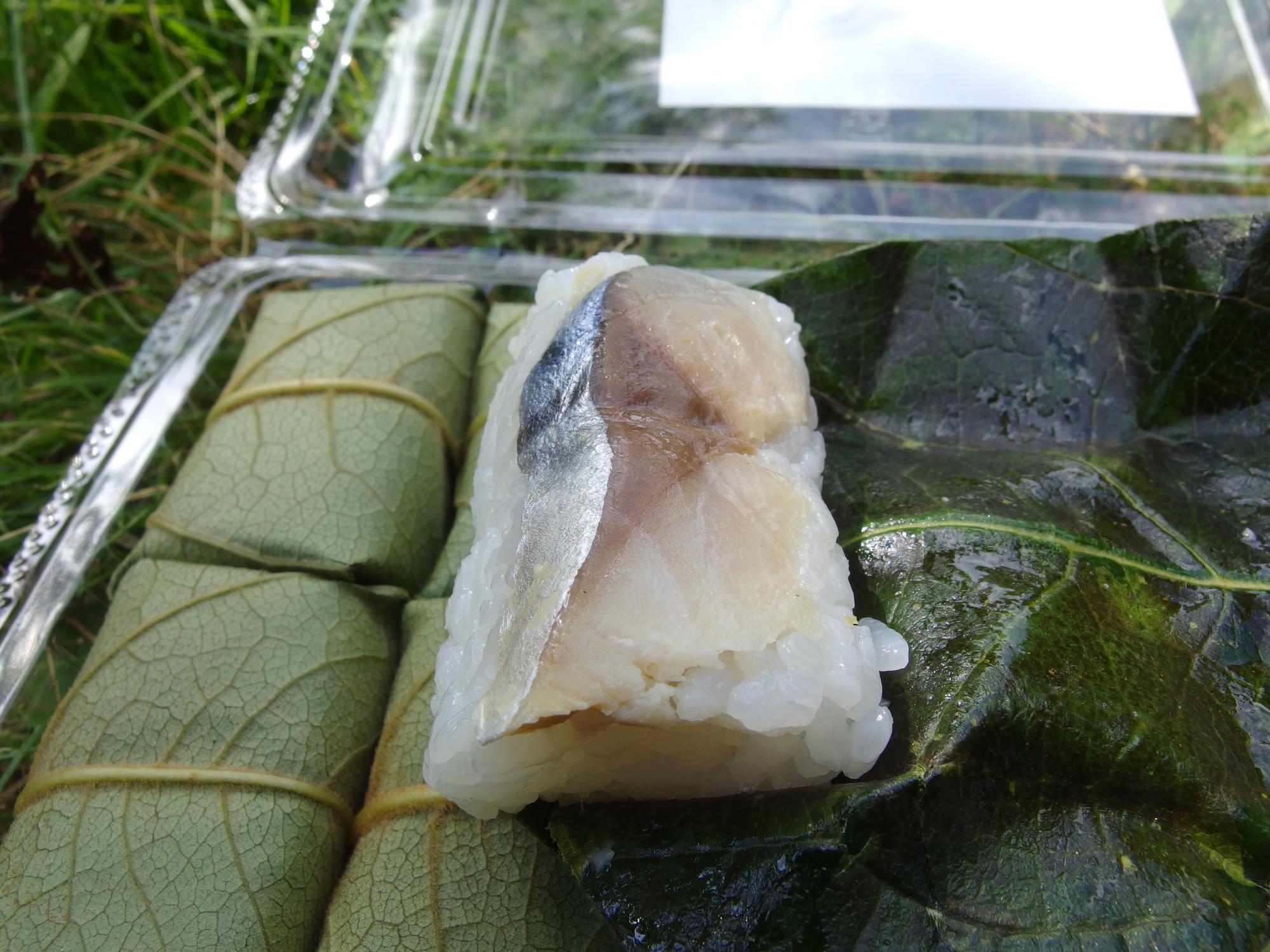 c0177576_1659966.jpg