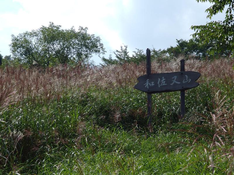 c0177576_17394023.jpg