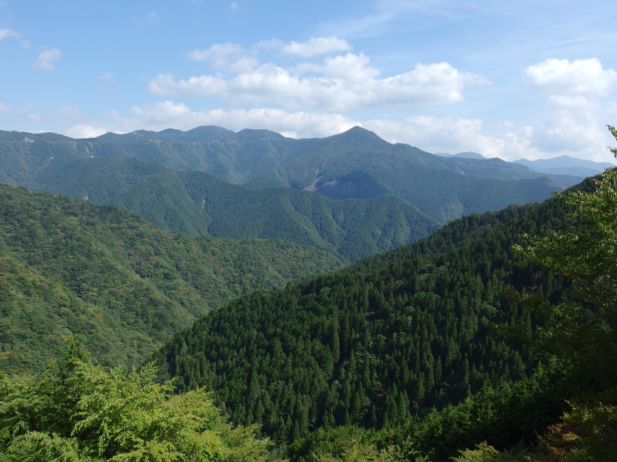 c0177576_1741239.jpg