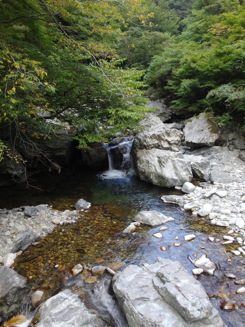 c0177576_18441013.jpg