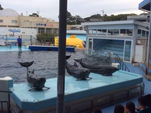 越前松島水族館_a0118079_20310043.jpg