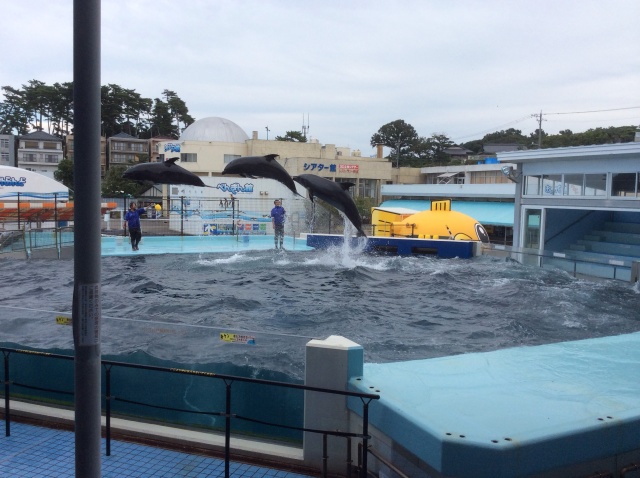 越前松島水族館_a0118079_20355869.jpg