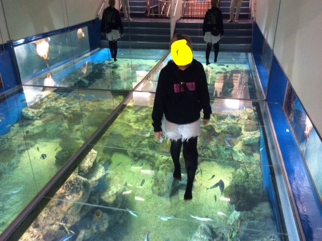 越前松島水族館_a0118079_20510039.jpg