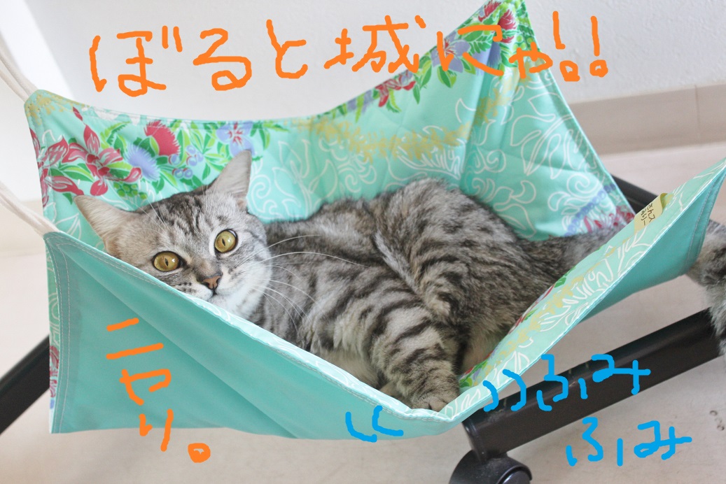 ☆NEW☆ぼるコレ☆_c0245679_14110962.jpg