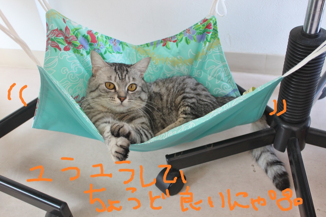 ☆NEW☆ぼるコレ☆_c0245679_14111616.jpg