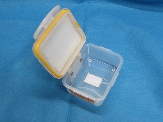 餌箱の製作 : 山陰キスの釣り歩き - A0265582 2315034